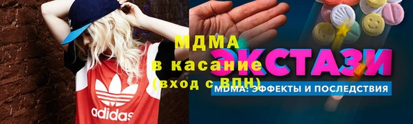 индика Алексин