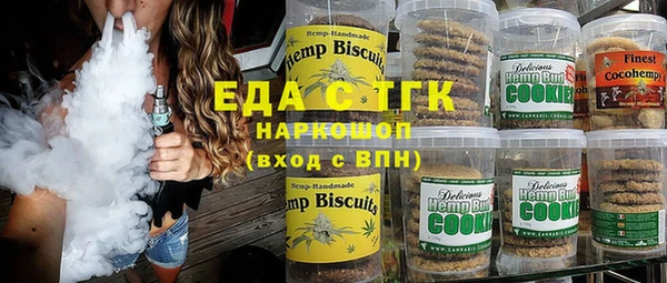 индика Алексин