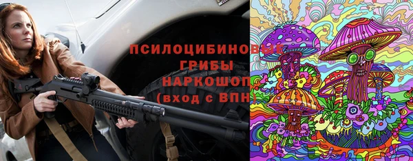 индика Каменка