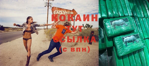 индика Алексин