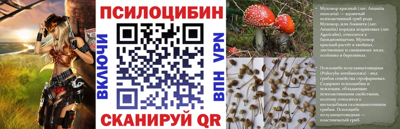 Псилоцибиновые грибы мицелий  Пласт 